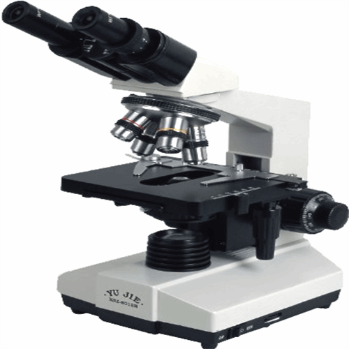 میکروسکوپ پلاریزان مدل B-1000POL ساخت کمپانی OPTIKA ایتالیا